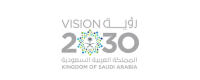 Vision