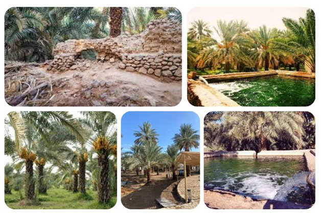 Ziyarat in Makkah and Madina